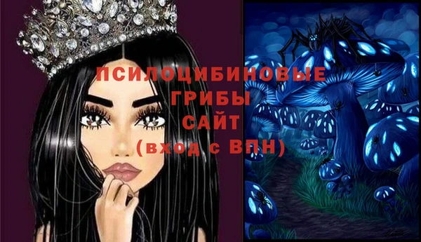 прущий лед Алексеевка