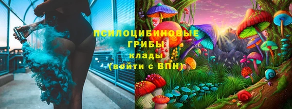 прущий лед Алзамай