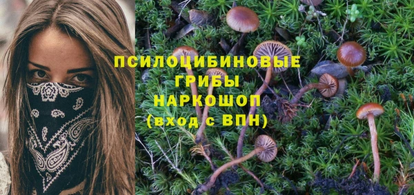 прущий лед Алексеевка