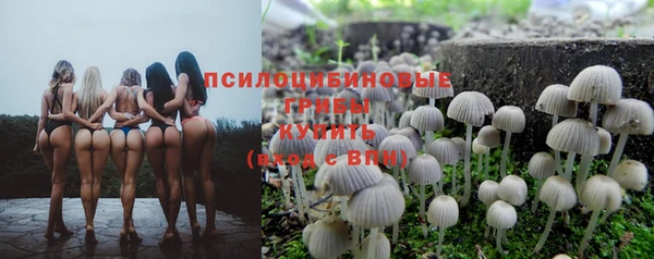 МДМА Алексин