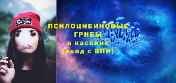 прущий лед Алзамай